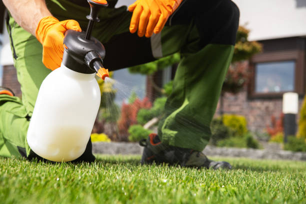 Best Pest Control for Businesses  in Great Bend, KS