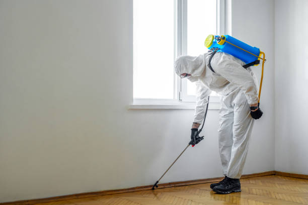 Best Affordable Pest Control Services  in Great Bend, KS