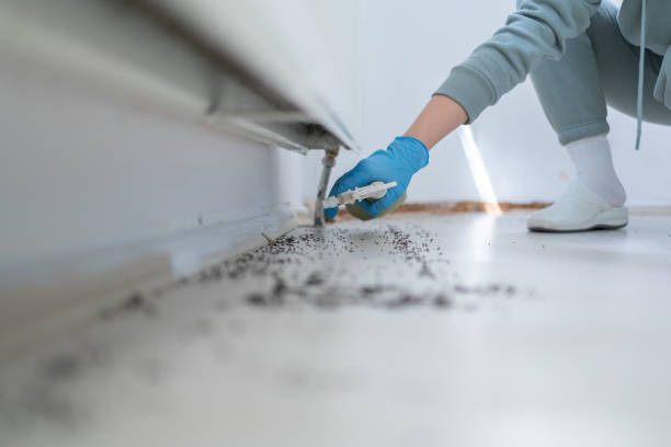 Best Exterminator Services  in Great Bend, KS